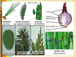 Free Powerpoint Templates
Page 117
 