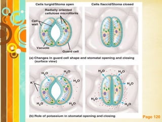 Free Powerpoint Templates
Page 120
 