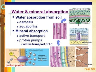 Free Powerpoint Templates
Page 126
 