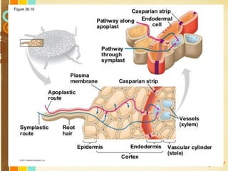 Free Powerpoint Templates
Page 127
 