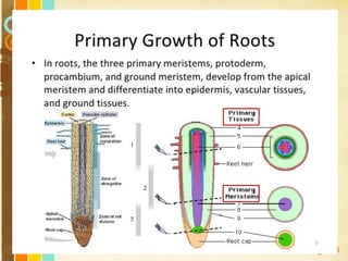 Free Powerpoint Templates
Page 13
 