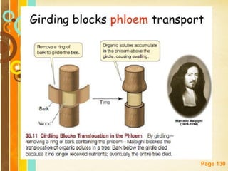 Free Powerpoint Templates
Page 130
 