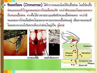 Free Powerpoint Templates
Page 132
 