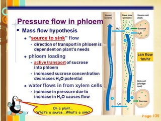 Free Powerpoint Templates
Page 135
 