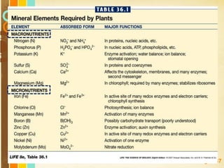 Free Powerpoint Templates
Page 137
 