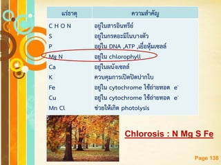 Free Powerpoint Templates
Page 138
แร่ธาตุ ความสาคัญ
C H O N
S
P
Mg N
Ca
K
Fe
Cu
Mn Cl
อยู่ในสารอินทรีย์
อยู่ในกรดอะมิโนบางตัว
อยู่ใน DNA ,ATP ,เยื่อหุ้มเซลล์
อยู่ใน chlorophyll
อยู่ในผนังเซลล์
ควบคุมการเปิดปิดปากใบ
อยู่ใน cytochrome ใช้ถ่ายทอด e-
อยู่ใน cytochrome ใช้ถ่ายทอด e-
ช่วยให้เกิด photolysis
Chlorosis : N Mg S Fe
 