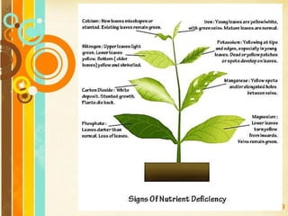 Free Powerpoint Templates
Page 139
 