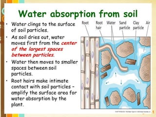 Free Powerpoint Templates
Page 141
 