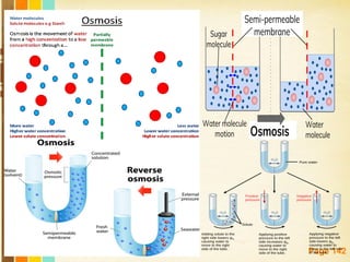 Free Powerpoint Templates
Page 142
 