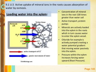 Free Powerpoint Templates
Page 143
 