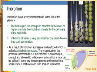 Free Powerpoint Templates
Page 144
 