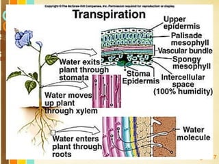 Free Powerpoint Templates
Page 147
 