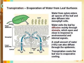 Free Powerpoint Templates
Page 148
 
