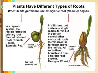 Free Powerpoint Templates
Page 15
 
