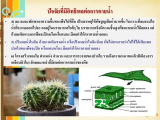 Free Powerpoint Templates
Page 156
• 4) ลม ลมจะพัดพาเอาความชื้นของพืชไปที่อื่น เป็นสาเหตุให้พืชสูญเสียน้ามากขึ้น ในภาวะที่ลมสงบไอ
น้าที่ระเหยออกไปจะ คงอยู่ในบรรยากาศใกล้ๆ ใบ บรรยากาศจึงมีความชื้นสูงพืชจะคายน้าได้ลดลง แต่
ถ้าลมพัดแรงมากพืชจะปิดหรือหรี่แคบลง มีผลทาให้การคายน้าลดลง
• 5) ปริมาณน้าในดิน ถ้าสภาพดินขาดน้า หรือปริมาณน้าในดินน้อย พืชไม่สามารถนาไปใช้ได้เพียงพอ
ปากใบของพืชจะปิด หรือแคบหรี่ลง มีผลทาให้การคายน้าลดลง
• 6) โครงสร้างของใบ ตาแหน่ง จานวน และการกระจายของปากใบ รวมถึงความหนาของคิวทิเคิล (สาร
เคลือบผิวใบ) ลักษณะเหล่านี้มีผลต่อการคายน้าของพืช
ปัจจัยที่มีอิทธิพลต่อการคายน้า
 