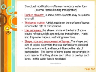 Free Powerpoint Templates
Page 157
 