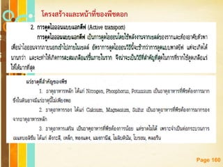 Free Powerpoint Templates
Page 160
โครงสร้างและหน้าที่ของพืชดอก
 