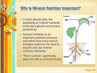 Free Powerpoint Templates
Page 161
 