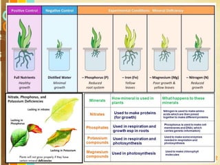 Free Powerpoint Templates
Page 162
 