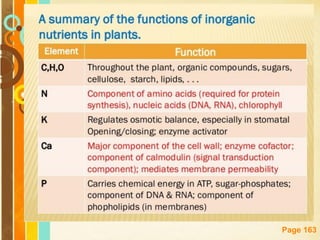 Free Powerpoint Templates
Page 163
 