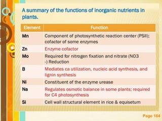 Free Powerpoint Templates
Page 164
 