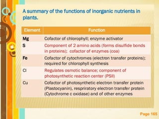 Free Powerpoint Templates
Page 165
 