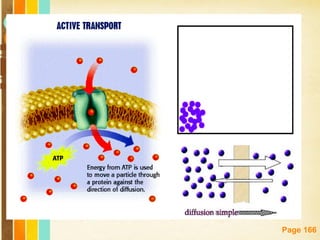 Free Powerpoint Templates
Page 166
 