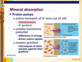 Free Powerpoint Templates
Page 167
 