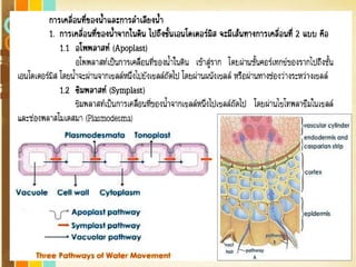 Free Powerpoint Templates
Page 168
 