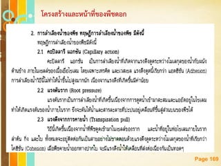 Free Powerpoint Templates
Page 169
โครงสร้างและหน้าที่ของพืชดอก
 