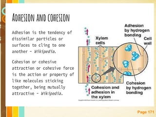 Free Powerpoint Templates
Page 171
 