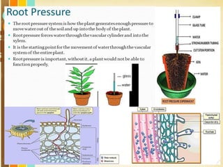 Free Powerpoint Templates
Page 172
 