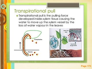 Free Powerpoint Templates
Page 173
 