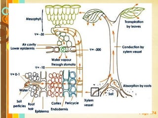 Free Powerpoint Templates
Page 174
 