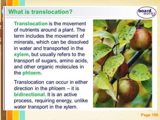 Free Powerpoint Templates
Page 180
 