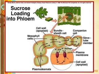 Free Powerpoint Templates
Page 182
 