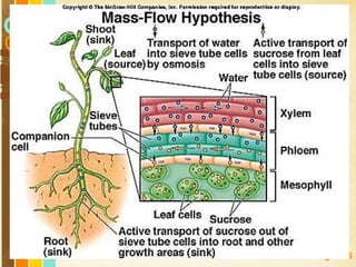 Free Powerpoint Templates
Page 186
 