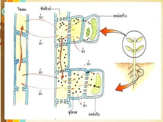 Free Powerpoint Templates
Page 188
 