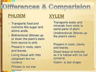 Free Powerpoint Templates
Page 189
 