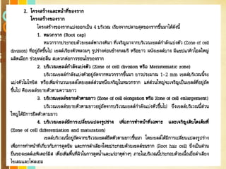 Free Powerpoint Templates
Page 19
 