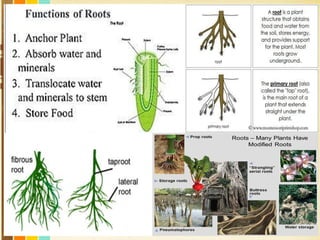 Free Powerpoint Templates
Page 20
 