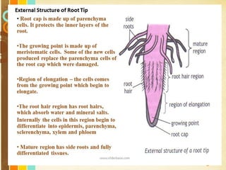Free Powerpoint Templates
Page 21
 