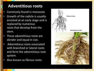 Free Powerpoint Templates
Page 23
 