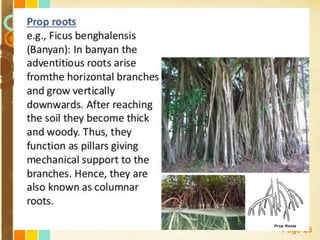 Free Powerpoint Templates
Page 28
 