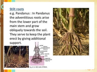 Free Powerpoint Templates
Page 29
 