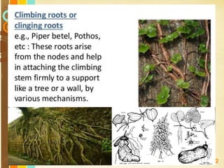 Free Powerpoint Templates
Page 32
 