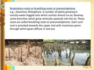 Free Powerpoint Templates
Page 34
 