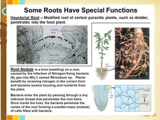 Free Powerpoint Templates
Page 36
 