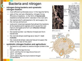 Free Powerpoint Templates
Page 37
 