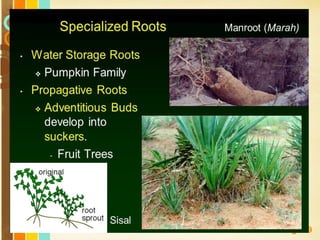 Free Powerpoint Templates
Page 39
 